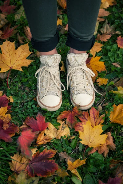 In piedi su foglie cadute — Foto Stock