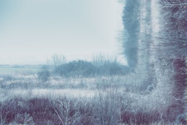 sabah frost manzara viraj