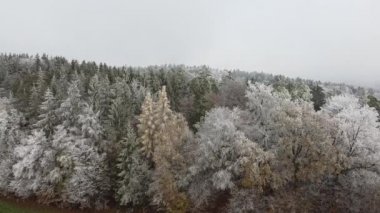 Bavyera 'daki ormanlık bir kış manzarasının hava fotoğrafları.