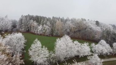 Bavyera 'daki ormanlık bir kış manzarasının hava fotoğrafları.