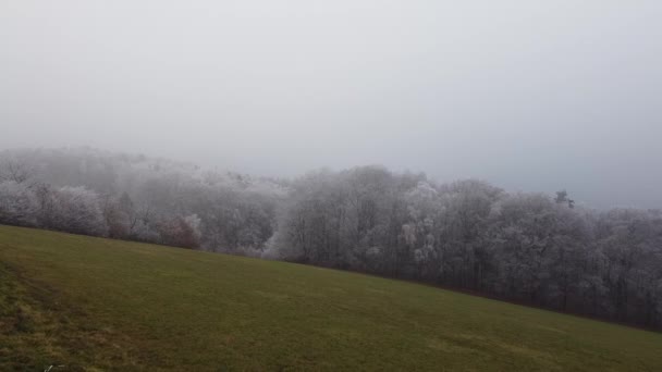 巴伐利亚森林冬季景观的航拍照片 — 图库视频影像