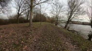 Bavyera 'da kışın ağaçlarla kaplı toprak bir yolda araba sürmek.