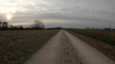 Bavyera 'da kışın ağaçlarla kaplı toprak bir yolda araba sürmek.