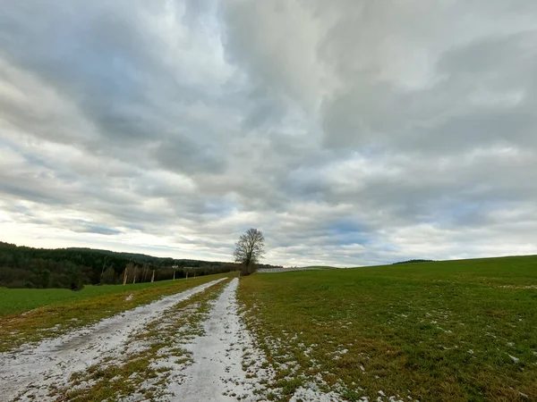 Gravações Fotos Floresta Baviera Com Lente Ultra Grande Angular Inverno — Fotografia de Stock