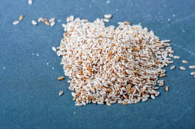 Stüdyoda siyah bir arkaplanda çekilmiş Hint pire tohumları.