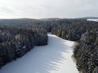 Ocak ayında Bavyera 'da kar ve günışığıyla Almanya' da kış manzarası