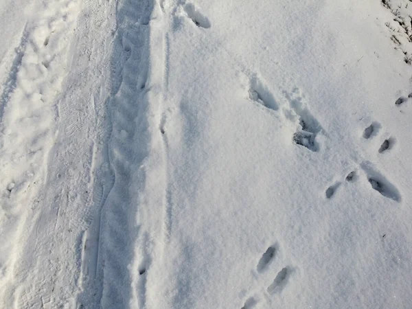 Vinterlandskap Tyskland Bayern Januari Med Snö Och Solsken — Stockfoto