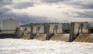 Bavyera 'daki Regensburg yakınlarındaki Geisling' de Tuna Nehri 'nde sel baskını                          