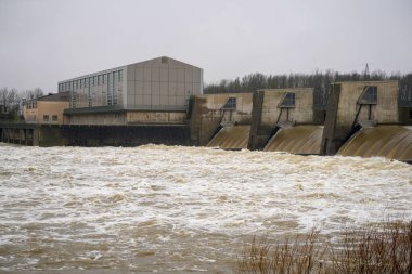 Bavyera 'daki Regensburg yakınlarındaki Geisling' de Tuna Nehri 'nde sel baskını                          