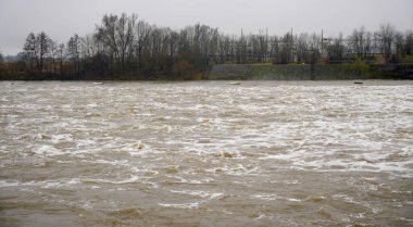 Bavyera 'daki Regensburg yakınlarındaki Geisling' de Tuna Nehri 'nde sel baskını                          