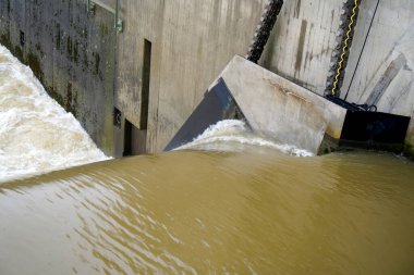 Bavyera 'daki Regensburg yakınlarındaki Geisling' de Tuna Nehri 'nde sel baskını