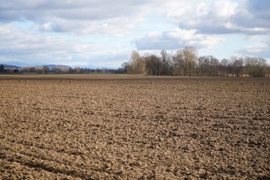 Bulutlar ve manzara Bavyera 'da bir şubat öğleden sonra