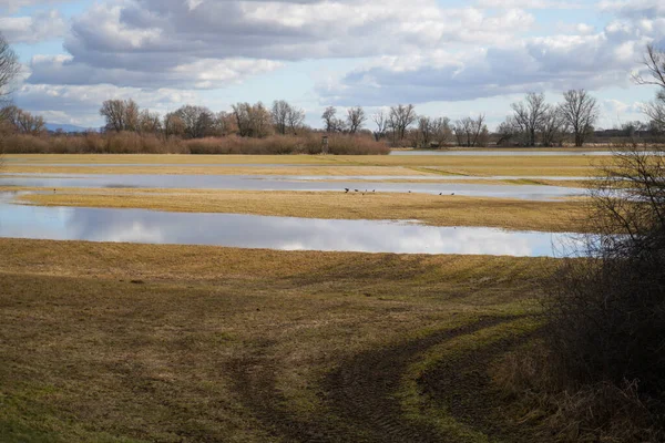 Wolken Landschap Een Februari Middag Beieren — Stockfoto