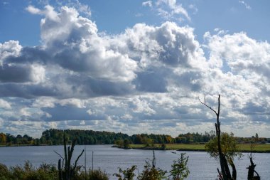 Gün ışığında Bavyera 'daki Bavyera Ormanı' nda manzara resimleri.                  