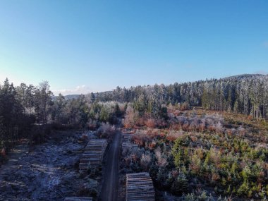 Gün ışığında Bavyera 'daki Bavyera Ormanı' nda manzara resimleri.                    