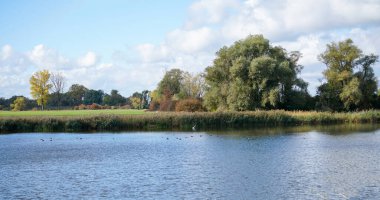 Gün ışığında Bavyera 'daki Bavyera Ormanı' nda manzara resimleri.                    