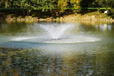 Almanya 'da yapay olarak eğlence için Bavyera' da park oluşturuldu                    