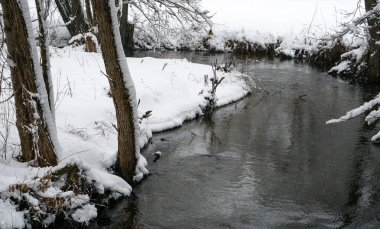 Almanya 'da yapay olarak eğlence için Bavyera' da park oluşturuldu                    