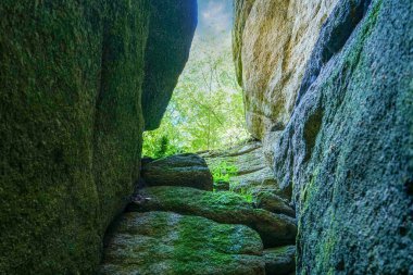 Almanya 'da yapay olarak eğlence için Bavyera' da park oluşturuldu                    