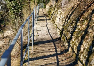 Almanya 'da yapay olarak eğlence için Bavyera' da park oluşturuldu                    