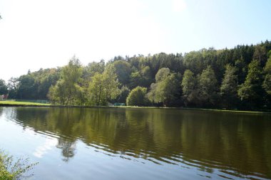 Yazın Bavyera 'daki ormandaki doğal yüzme havuzu gün ışığında fotoğraflandı.