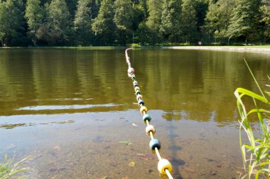 Yazın Bavyera 'daki ormandaki doğal yüzme havuzu gün ışığında fotoğraflandı.