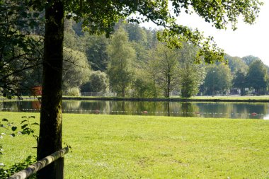 Yazın Bavyera 'daki ormandaki doğal yüzme havuzu gün ışığında fotoğraflandı.