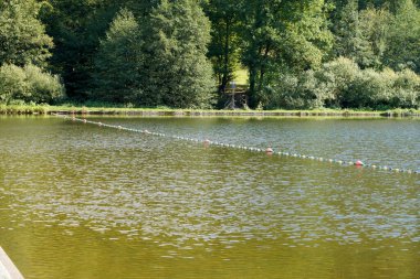 Yazın Bavyera 'daki ormandaki doğal yüzme havuzu gün ışığında fotoğraflandı.