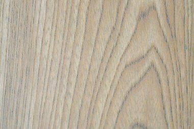 Stüdyoda çekilen grafiksel elementler arka plan için doğal ışık sağlıyor.               