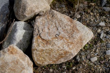 Granit, Bavyera 'da gündüz çekilmiş kuvars, mika ve feldspar bakımından zengindir.