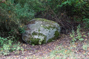 Granit, Bavyera 'da gündüz çekilmiş kuvars, mika ve feldspar bakımından zengindir.