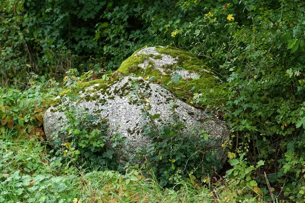 Granite is rich in quartz, mica and feldspar photographed in daylight in Bavaria