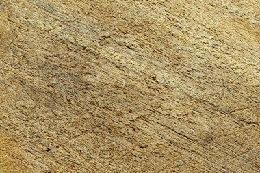 Stüdyoda çekilen grafiksel elementler arka plan için doğal ışık sağlıyor.                    