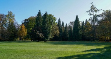 Almanya 'da yapay olarak eğlence için Bavyera' da park oluşturuldu                      