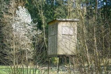 Regensburg ve Straubing arasındaki Bavyera Üst Palatinat ve Aşağı Bavyera manzara fotoğrafları