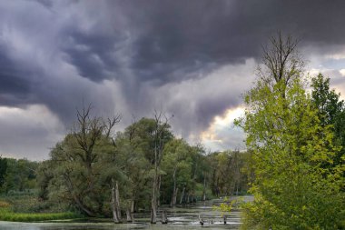 Regensburg ve Straubing arasındaki Bavyera Üst Palatinat ve Aşağı Bavyera manzara fotoğrafları              