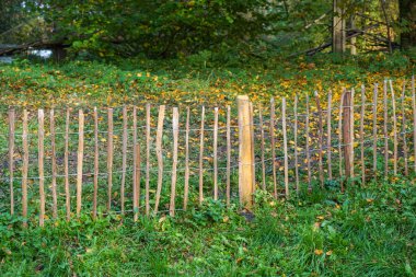 Bavyera 'da el yapımı çitler telefoto lensleriyle fotoğraflanmış.   