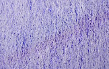 Arka plan yapısı monokrom modern desenler ve renkler kullanılarak stüdyoda fotoğraflandı                               