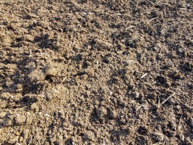 Bavyera 'daki tarımsal alan gündüz fotoğraflandı