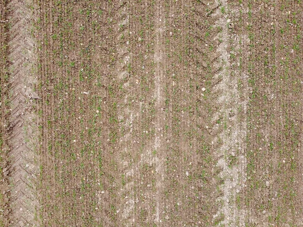 Bavyera 'da gün ışığında tarlaları ve otlakları çekilen manzara fotoğrafları.