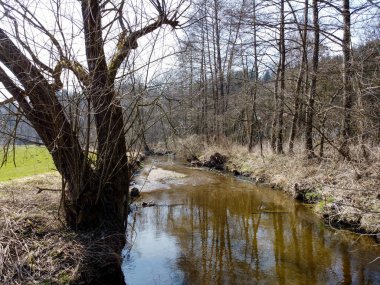 Bavyera 'da bir dere deresi, kışın bir dronla havadan çekilmiş görüntüler.