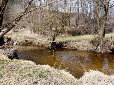 Bavyera 'da bir dere deresi, kışın bir dronla havadan çekilmiş görüntüler.