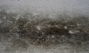 Rutubetli duvarların arasından geçen küflü taş duvar gün ışığında fotoğraflanmış.                           