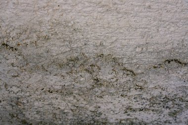 Rutubetli duvarların arasından geçen küflü taş duvar gün ışığında fotoğraflanmış.                           