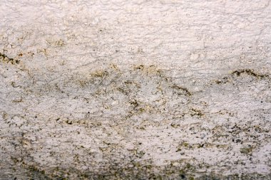 Rutubetli duvarların arasından geçen küflü taş duvar gün ışığında fotoğraflanmış.                           