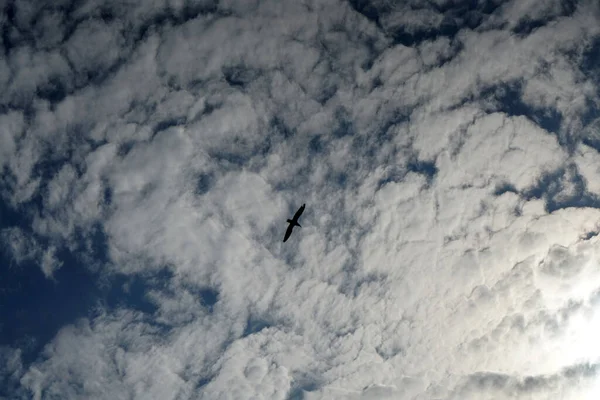 Nuvens Fotografadas Dia Março Baviera — Fotografia de Stock