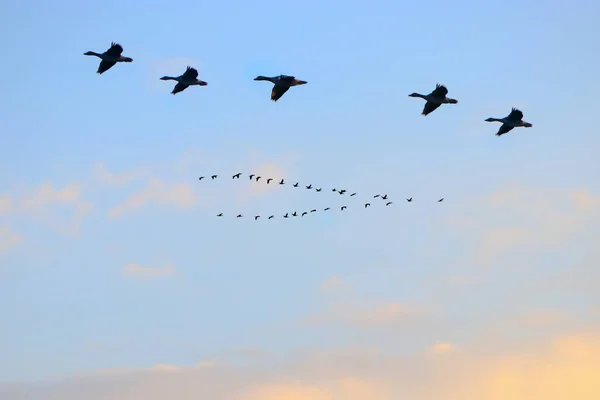 Landscape Pictures Clouds Birds Outdoors Germany Photographed Edited Daylight — Stock Photo, Image