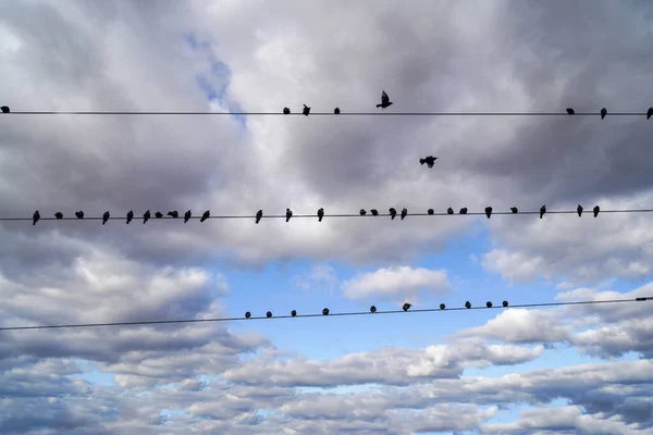 Paisagem Fotos Com Nuvens Pássaros Livre Alemanha Fotografado Editado Luz — Fotografia de Stock
