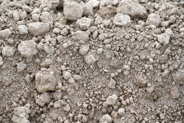 Bitkilerin ve toprağın organik ve mineral yapısı humus içeriyor.