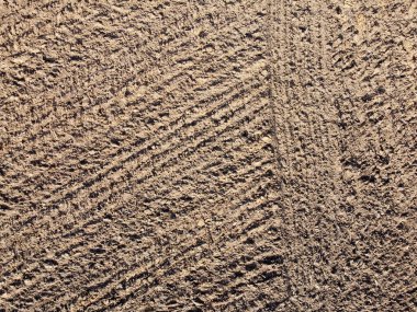 Bitkilerin ve toprağın organik ve mineral yapısı humus içeriyor.